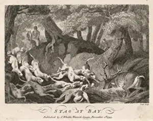 Hunting Deer 1793