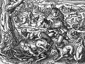 Hunting Deer C16