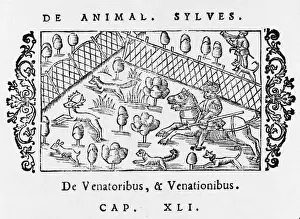 Fenced Prints: Hunting in Enclosure
