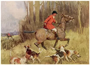 Hunting Collection: Hunting / Fox / The Chase