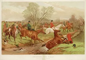 Hunting / Fox / The Chase