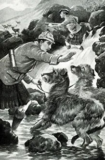 Deerhound Prints: Hunting in the Highlands of Scotland with Deerhound Dogs