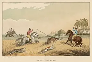 Pursued Prints: Hunting Hog Deer 1807