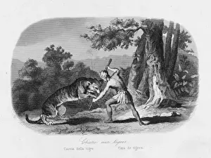 Jaguar Prints: Hunting / Jaguar C1600