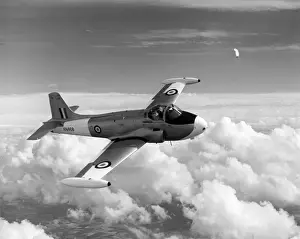 Provost Prints: Hunting Jet Provost T3 XN468