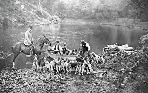 Otter Collection: Hunting otters with hounds, Victorian period