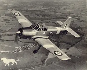 Hunting P56 Provost T1