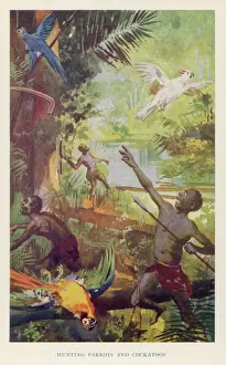 Spears Prints: Hunting Parrots