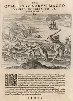Hunting Penguins 1550