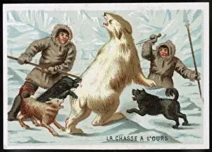 Hunting a Polar Bear