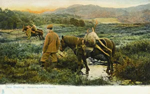 Deer Collection: Hunting Series (1 of 5) - Deer Stalking