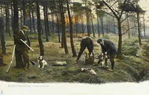 Hunting Series (3 of 5) - Rabbit Shooting