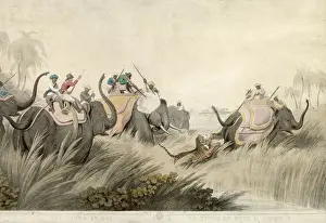 HUNTING TIGER / WILLIAMSON