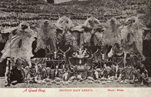Antelope Gallery: Hunting Trophies - A Good Bag - British East Africa