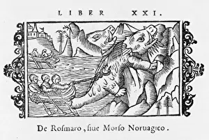 Hunting Walrus 1555