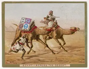 Huntley Camel 1890