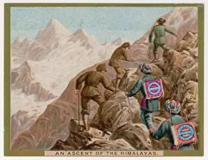 Biscuits Prints: Huntley Himalayas 1890