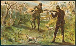 Huntsman Shot Not Bird Huntsman Shot Not Bird