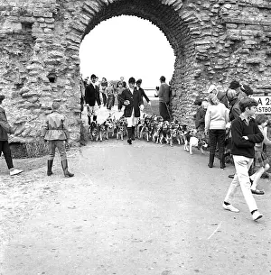 Beagles Prints: Huntsmen with beagles, Pevensey Castle, East Sussex
