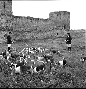 Huntsmen with beagles, Pevensey Castle, East Sussex