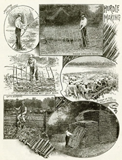 Hazel Collection: Hurdle making