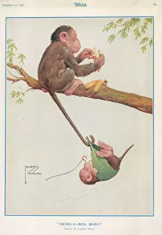 Monkey Gallery: Hush-A-Bye, Baby by Lawson Wood