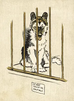 Husky Prints: Husky Pup Aldin 1907