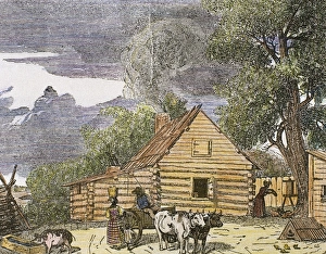 Farmer and Pig