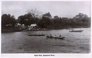 Guiana Prints: Hyde Park, Demerara River, Guyana, South America