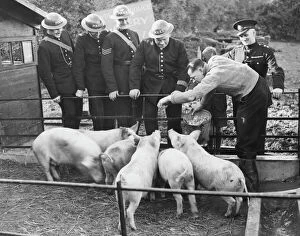 Hyde Park Police Piggery WWII