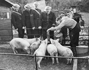 Ww Ii Prints: Hyde Park Police Piggery WWII