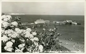 Ventnor Prints: Hydrangeas Keats Garden And Pier Shanklin Isle