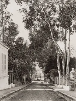 Villas Prints: Hyeres, Rue des Villas, France