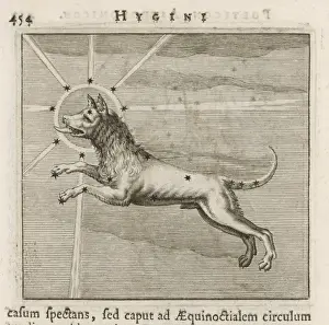 Hyginus / Canis Major
