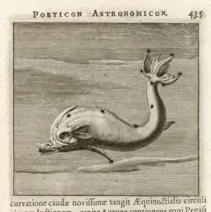1681 Prints: Hyginus / Delphin
