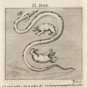 1681 Prints: Hyginus / Draco