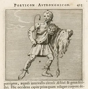 Groups Prints: Hyginus / Engonasin