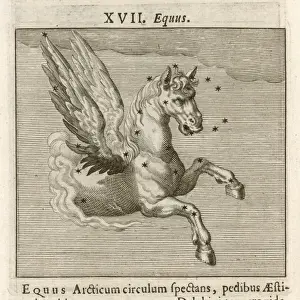 Hyginus / Equus