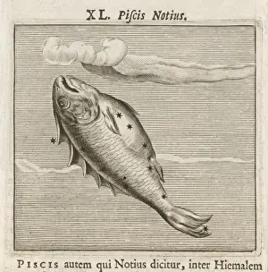 1681 Prints: Hyginus / Piscis Notius