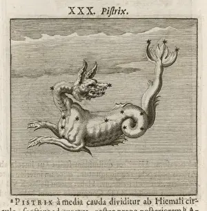 1681 Prints: Hyginus / Pistrix