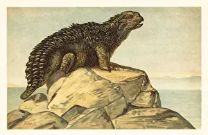 Herbivorous Prints: Hylaeosaurus armatus, extinct herbivorous ankylosaurian dinosaur