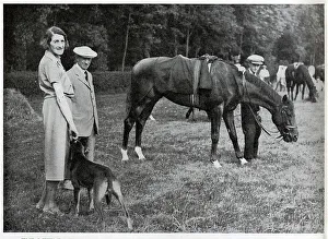 Stable Collection: Hyperion in the Paddock