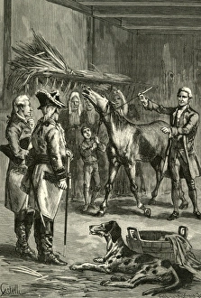 Altered Gallery: Hypnotising a Horse