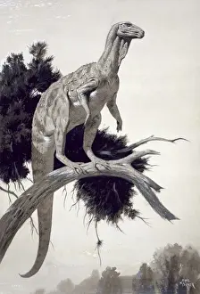 Hypsilophodon