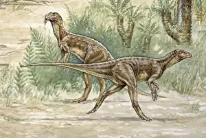 Hypsilophodon