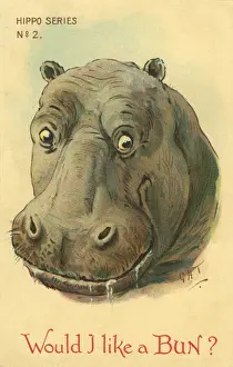 Hippo Prints: Hippo
