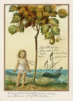 Spains Collection: I had a Little Nut Tree