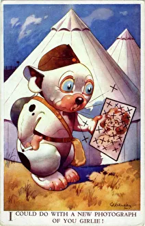Tent Collection: I could do with a new photograph of you girlie