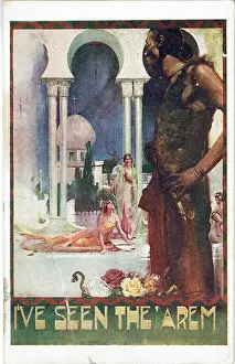 Harem Prints: I ve Seen The Arem by Arthur Branscombe