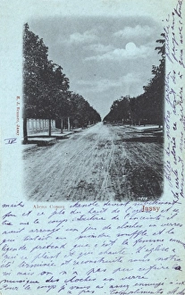 Images Dated 8th June 2011: Iasi, Romania - Aleea Copou